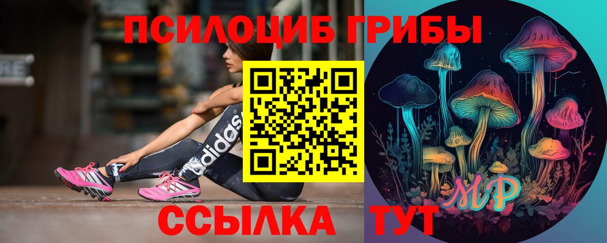 Псилоцибиновые грибы MAGIC MUSHROOMS  Псилоцибиновые грибы GOLDEN TEACHER  Вход с VPN  Сунжа 