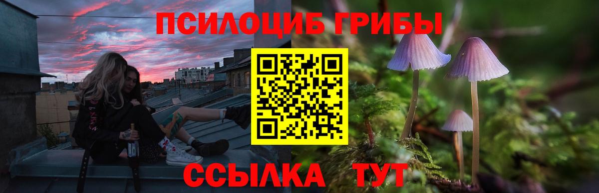 Галлюциногенные грибы Magic Shrooms Сунжа